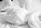 Pourquoi les punaises de lit sont-elles si difficiles à éliminer ?